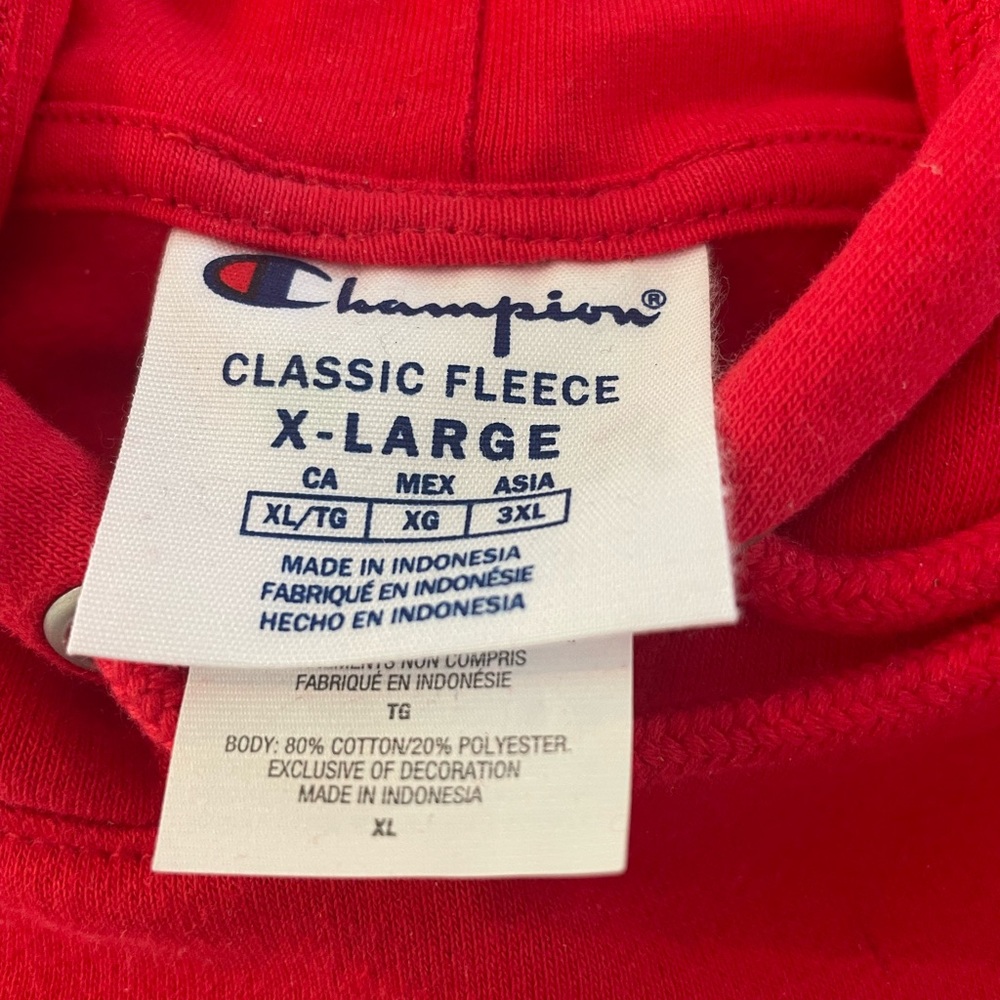 Champion hoodie